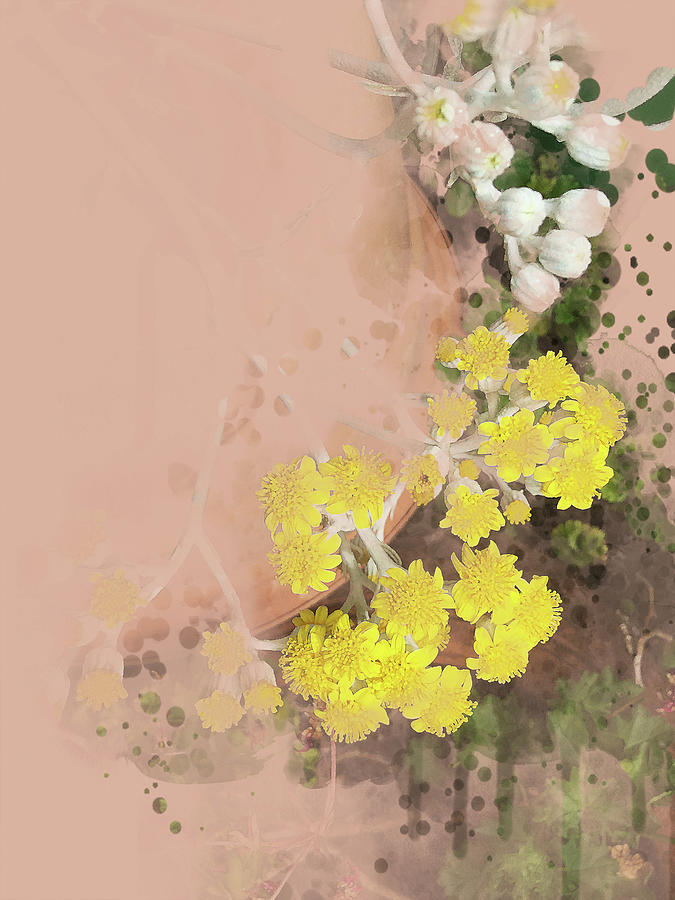 Dusty Miller Flowers and Buds Digital Art by Julie Rodriguez Jones