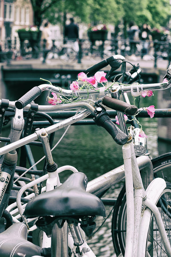 Dutch Bikes on the Bridge Photograph by Georgia Clare