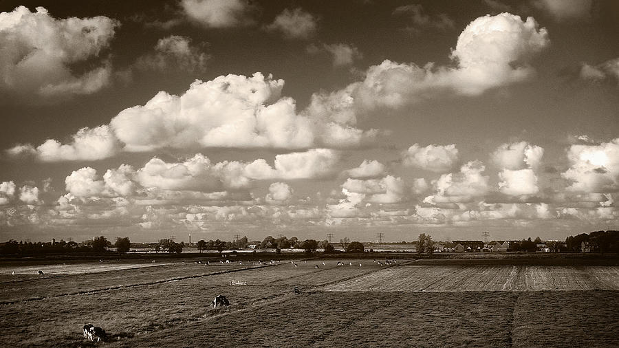 Dutch Farmland In Sepia Photograph