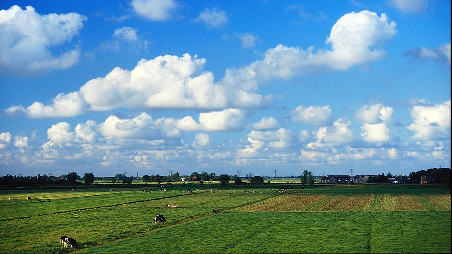 Dutch farmland Photograph by Rudy Umans
