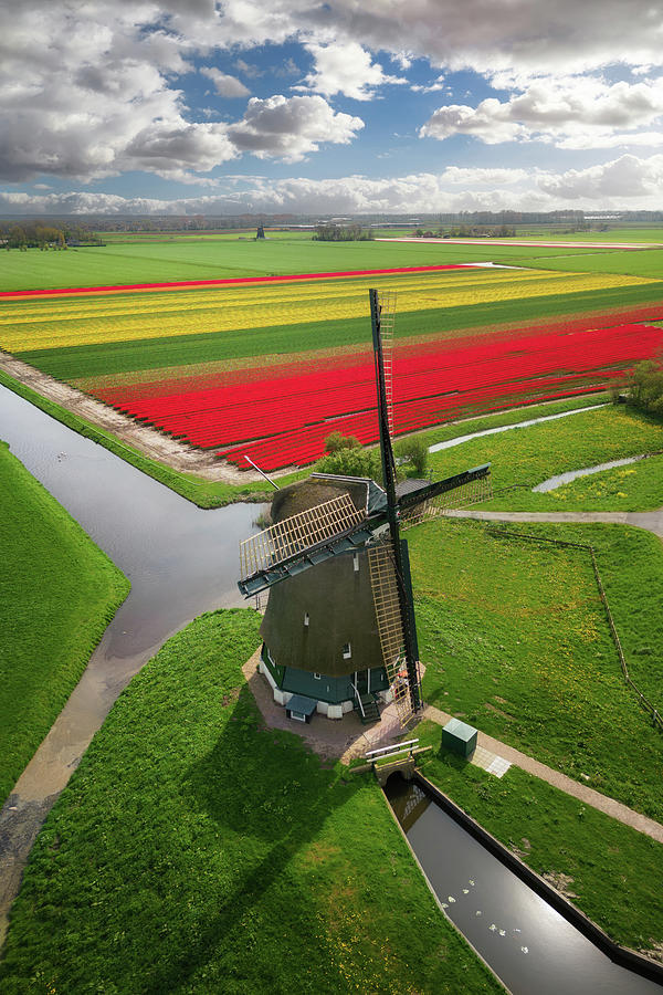 Spring Photograph - Dutch spring by Martin Podt