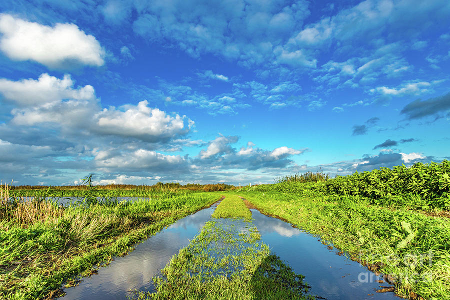Dutch Wetlands Photograph by Casper Cammeraat