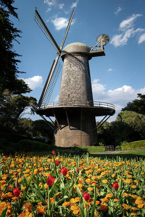 Dutch Windmill Photograph by Gary Geddes