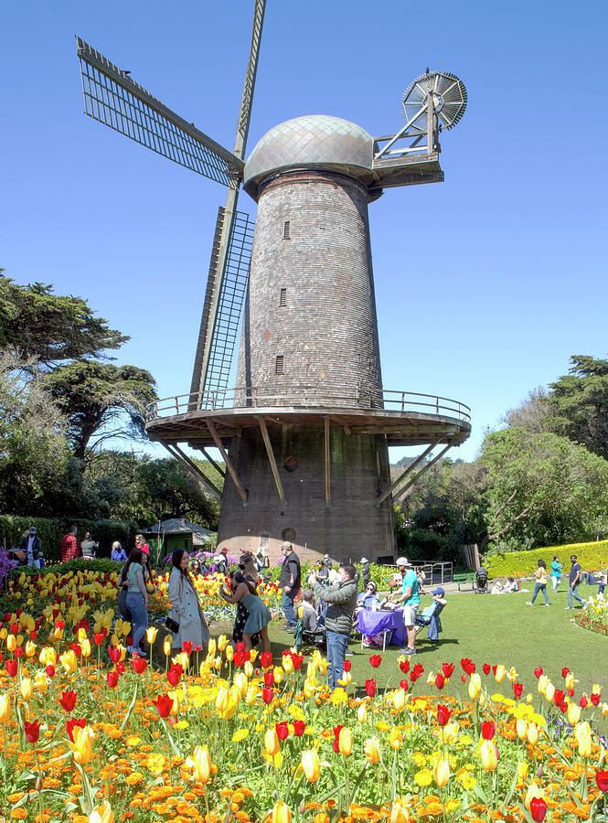 Dutch Windmill In Golden Gate Park Photograph by Her Arts Desire