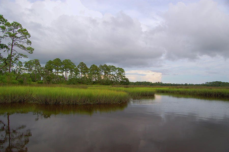 Dutton Island, Florida Marsh Photograph by Christey Merton