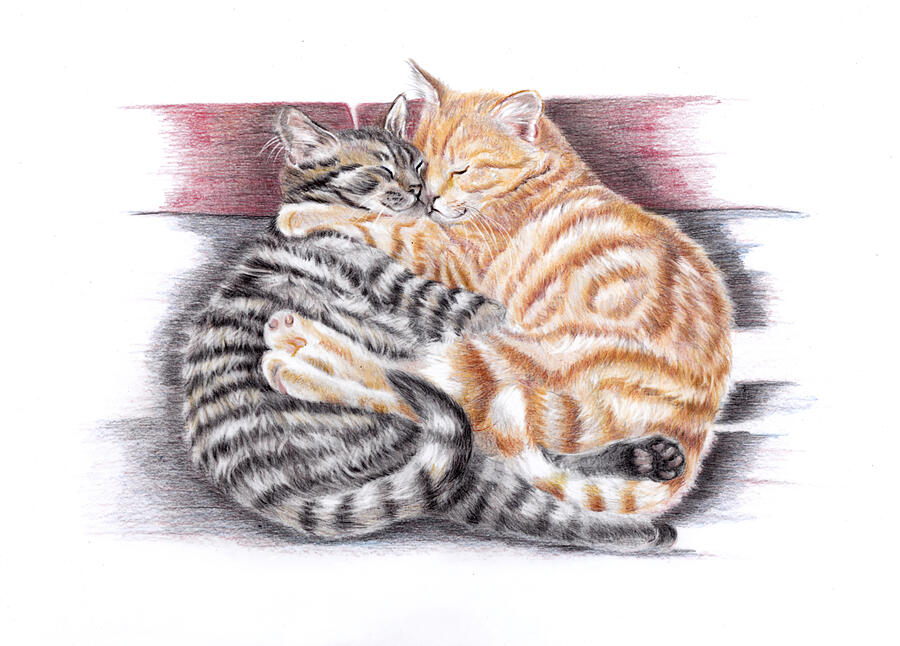 Cat Painting - Duvet Day - Sleeping Cats by Debra Hall