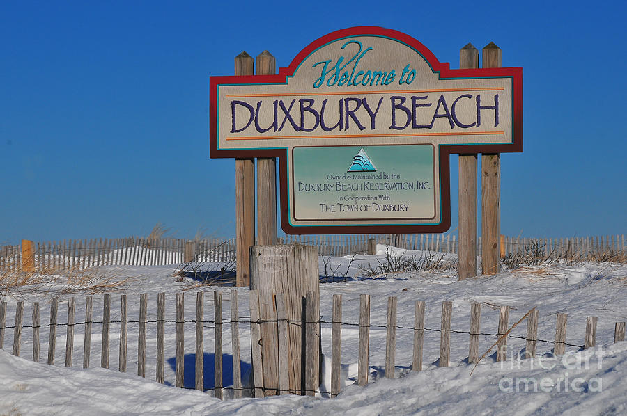 Winter Photograph - Duxbury Beach by Catherine Reusch Daley
