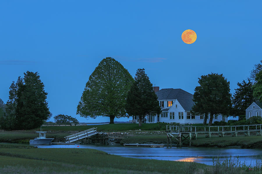 Duxbury Perfect Tree Massachusetts Full Moon Reflection Photograph by Juergen Roth
