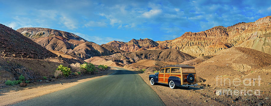 Desert Photograph - DVNP Painted Hills n Woody by David Zanzinger