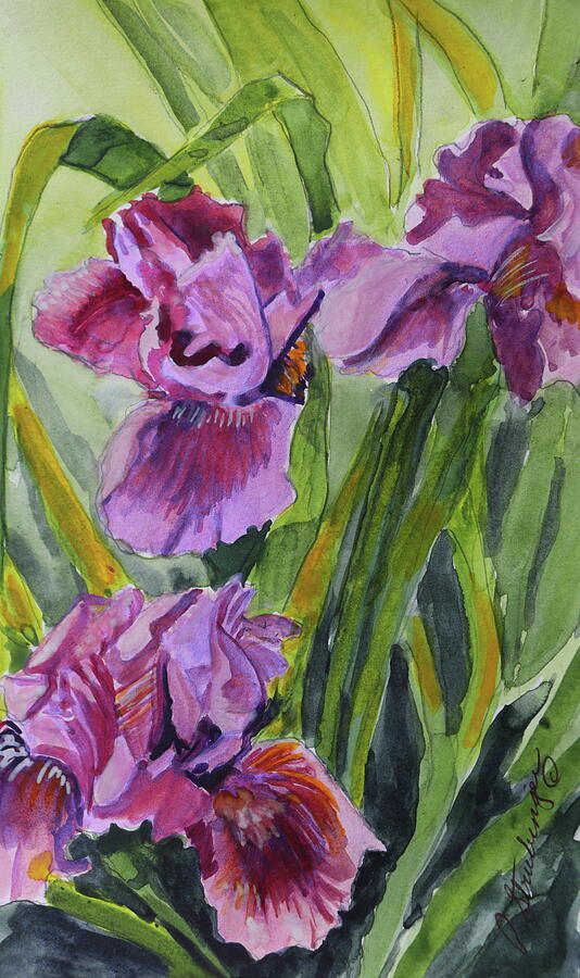 Dwarf Iris Painting by Patty Strubinger - Fine Art America