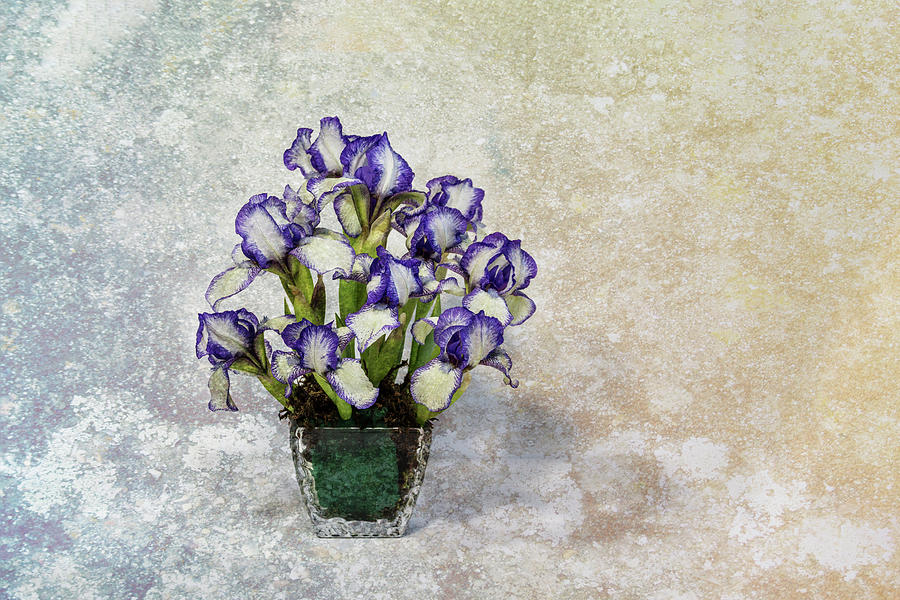 Dwarf Iris Still Life with Vase Photograph by Patti Deters