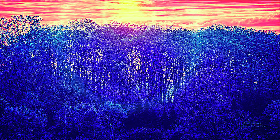 Sunrise Digital Art - Dyed Carnation Morning by Mike Braun Sunrise Digital Art - Dyed Carnation Morning by Mike Braun