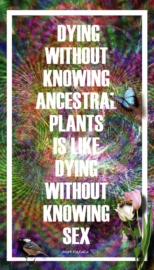 Dying Without Knowing Ancestral Plants Is Sad Digital Art by J U A N - O A X A C A