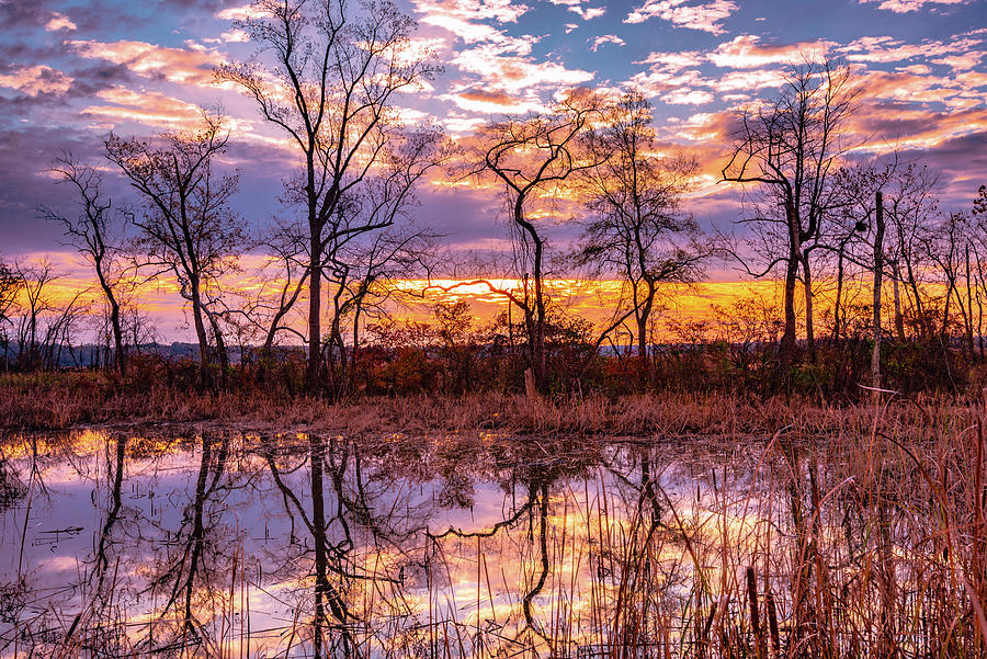 Nature Photograph - Dykes Marsh At Sunrise II by Steven Ainsworth