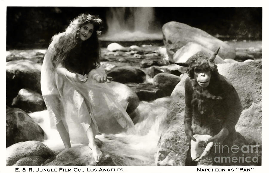 E and R Jungle Film Company Photograph by Sad Hill - Bizarre Los Angeles Archive