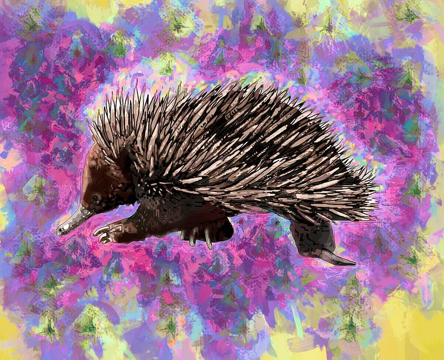 E is for Echidna Drawing by Joan Stratton