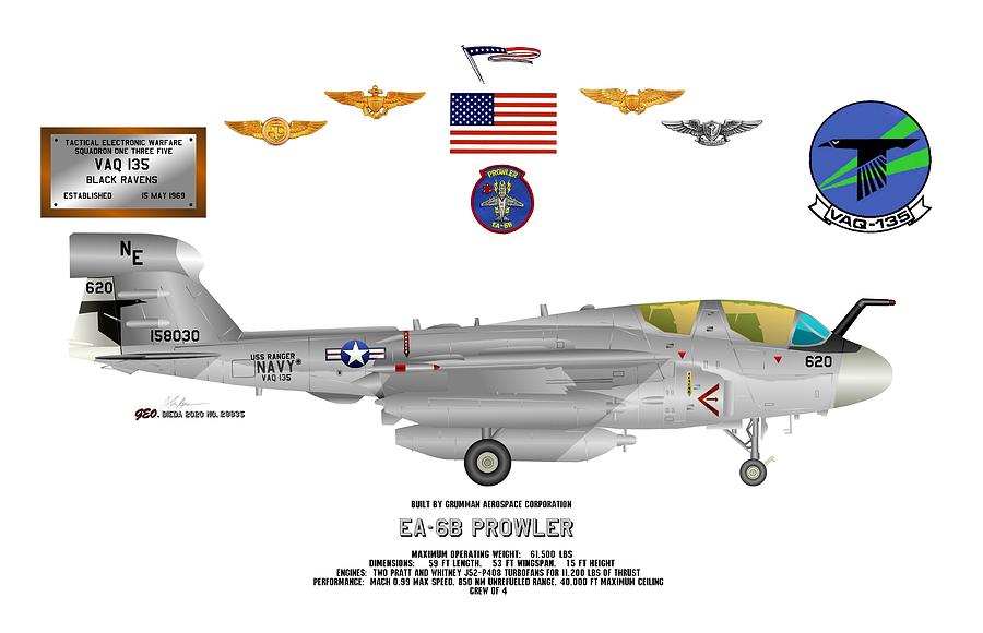 EA-6B Prowler VAQ-135 Black Ravens Profile Data Print Digital Art by George Bieda