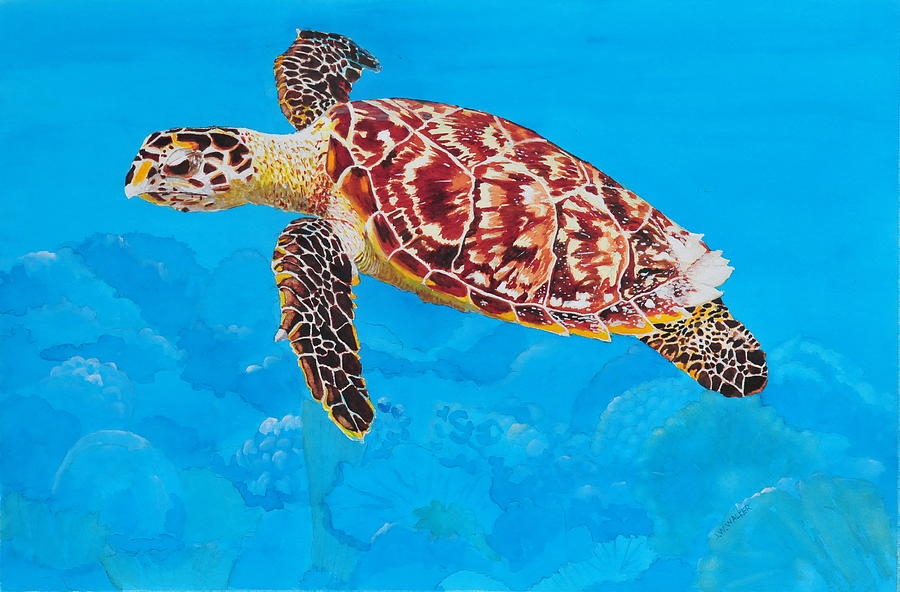 Ea Hawksbill Turtle Painting by John W Walker