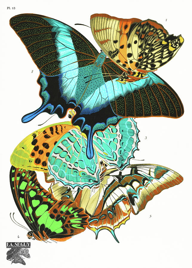 E.A. Seguys Vintage Butterflies Painting by Bob Pardue