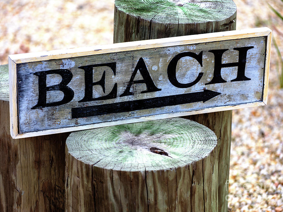 Beach This Way at Beach Haven Photograph by John Rizzuto