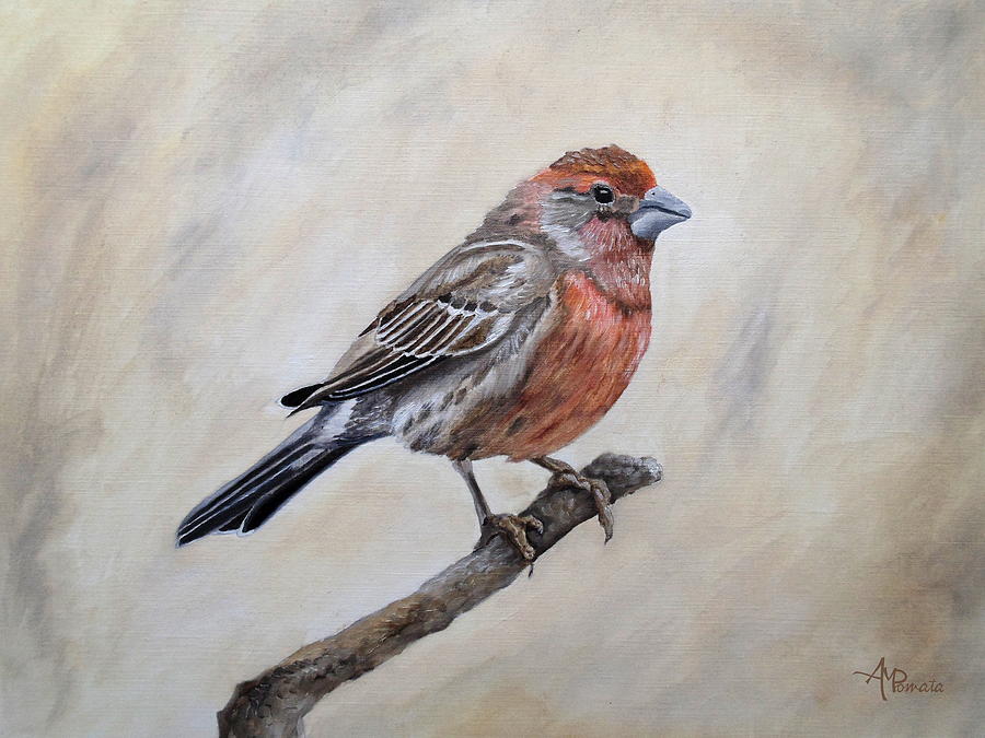 Finch Painting - Eager For Winter by Angeles M Pomata
