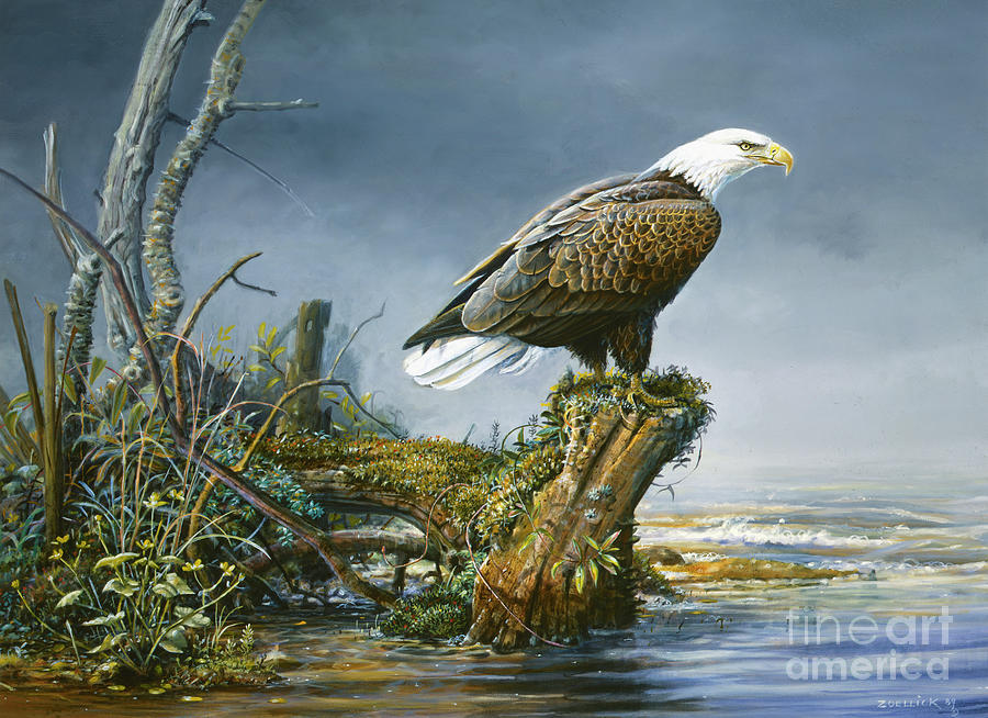 Eagle 1 Painting by Scott Zoellick