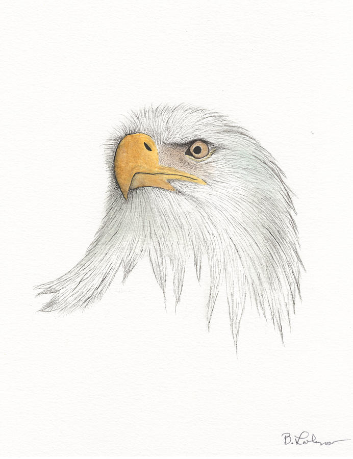Eagle #2 Painting by Bob Labno