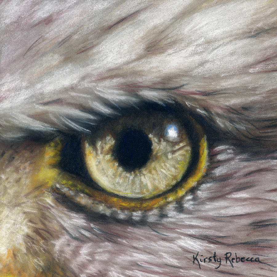 Eagle Eye Study Pastel by Kirsty Rebecca