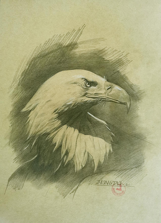 Eagle #22601 Drawing by Hongtao Huang