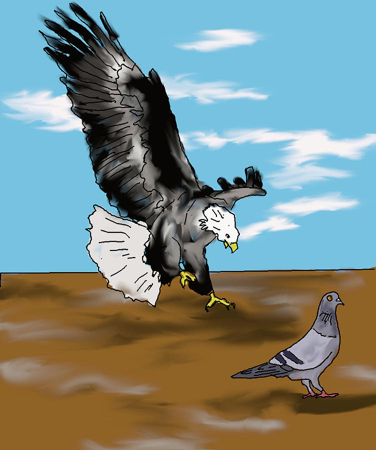 Eagle and pigeon Digital Art by Francisco Capilla Hervas - Pixels