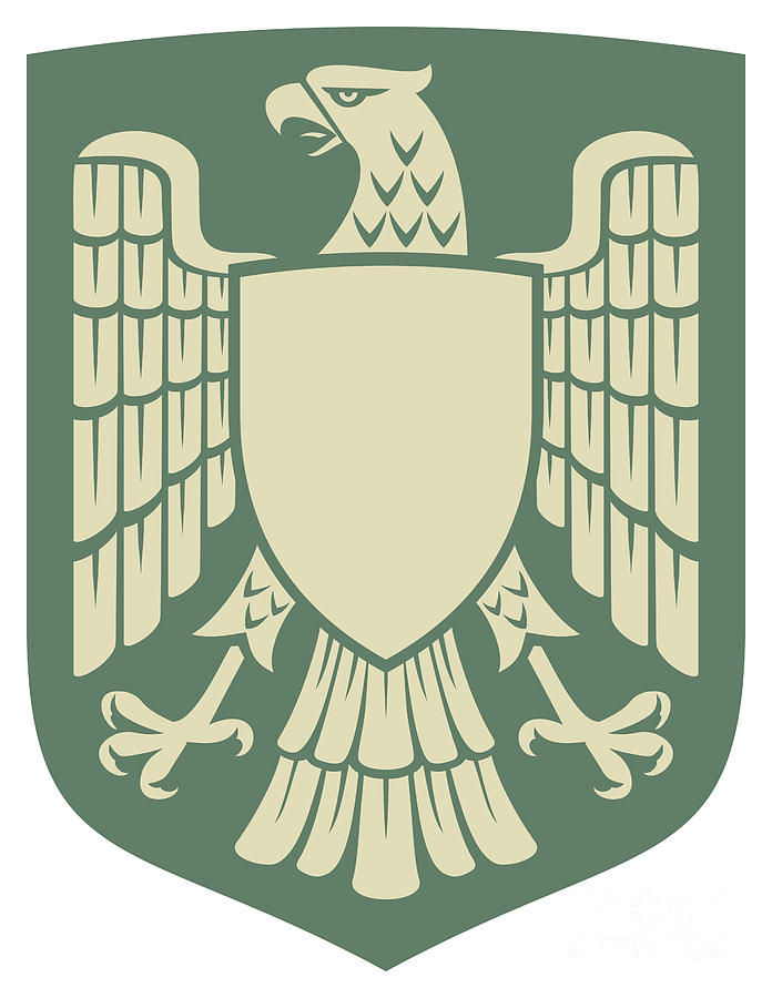 Eagle and the cross coat of arms Digital Art by Ivanka Nikitovic - Pixels