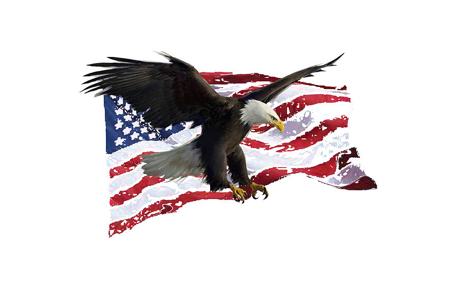 Eagle And Usa Flag Digital Art by Tony W Morgan - Fine Art America