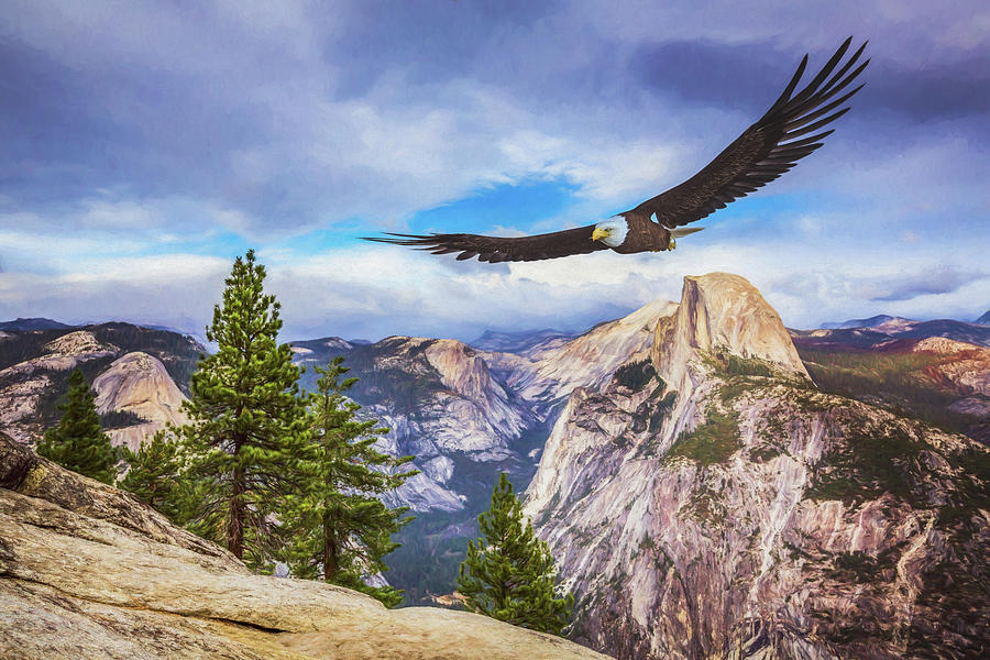 Eagle at Glacier Point Digital Art by Ian Good