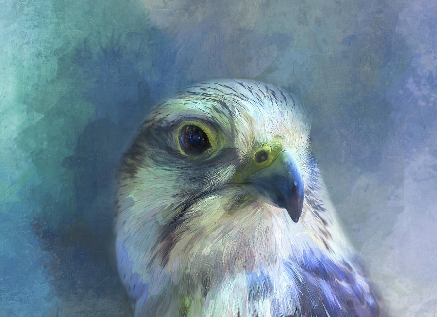 Eagle Cast in Blue Digital Art by Terry Davis