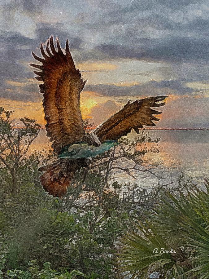 Eagle Catch of the Day Digital Art by Anne Sands