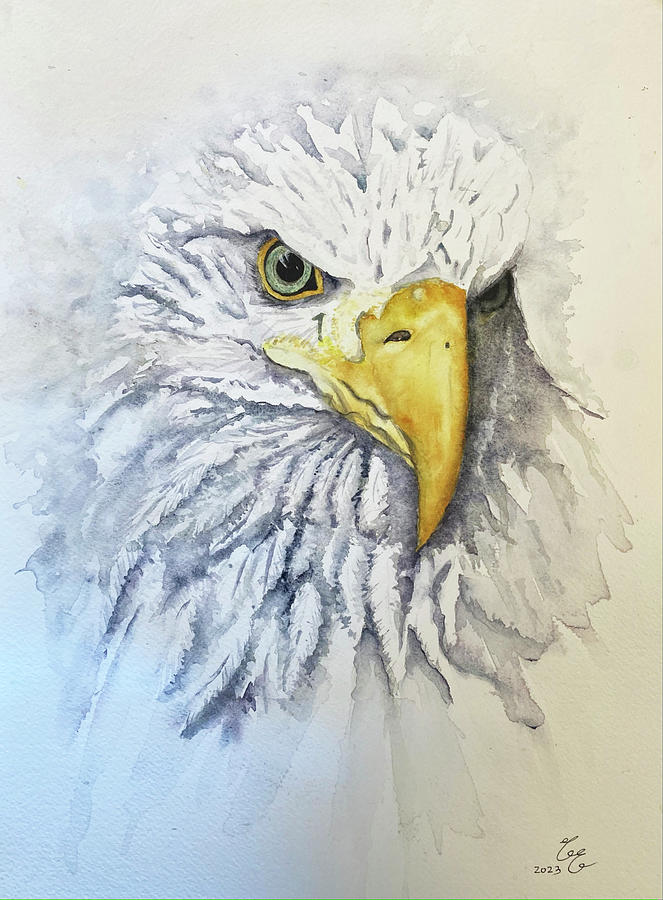 Eagle Eye Painting by Colette Ernst - Fine Art America