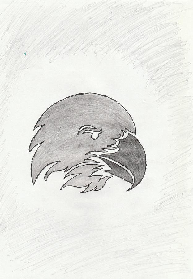 Eagle Drawing - Eagle Face Sketch by Sandeep Choudhary Eagle Drawing - Eagle Face Sketch by Sandeep Choudhary