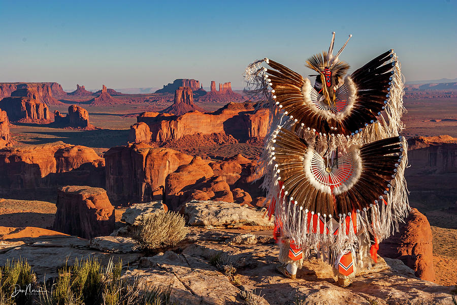 Eagle Feathers Photograph by Dan Norris