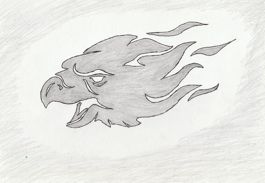 Eagle Drawing - Eagle Fiery Face Sketch by Sandeep Choudhary Eagle Drawing - Eagle Fiery Face Sketch by Sandeep Choudhary