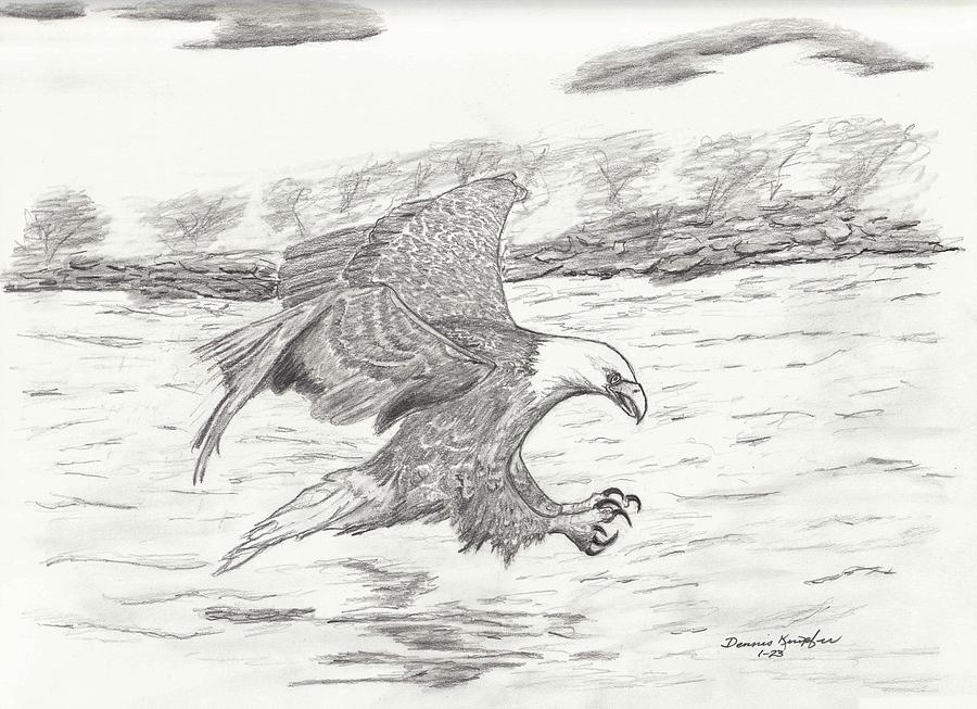 Eagle Drawing - Eagle Fishing by Dennis Knipfer