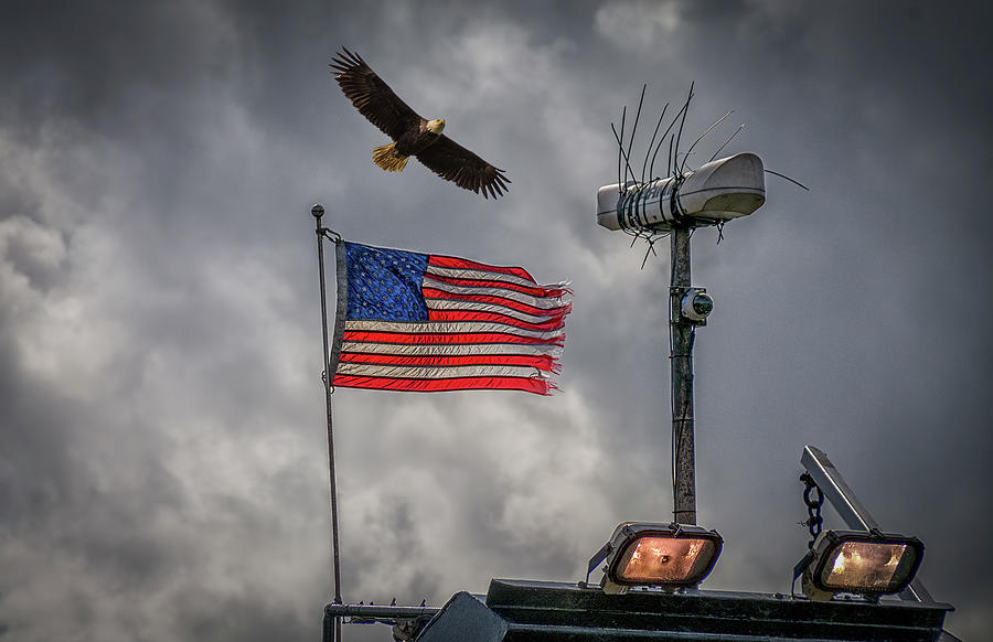 Eagle flies above flag Photograph by Bill Posner