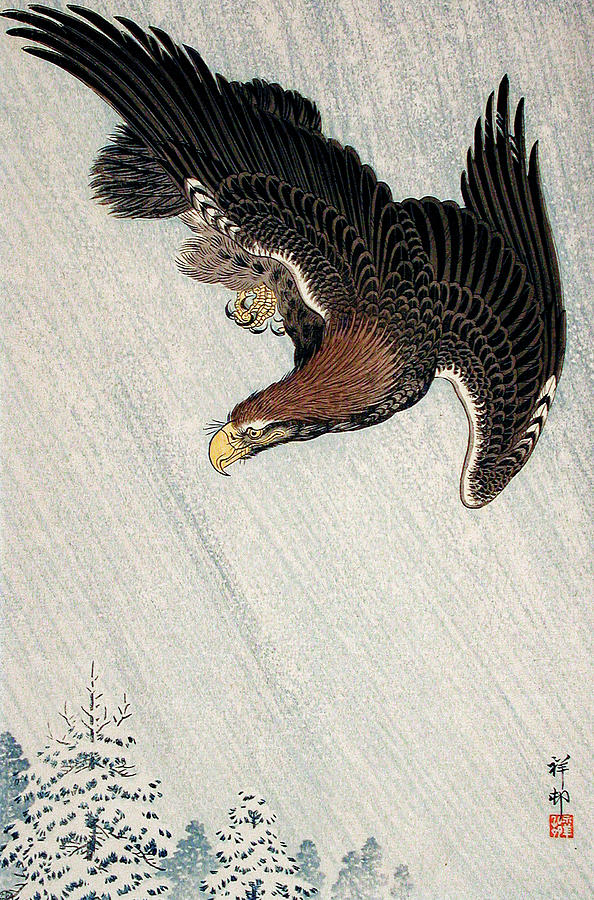 Eagle Flying in Snow Painting by Art Dozen - Fine Art America