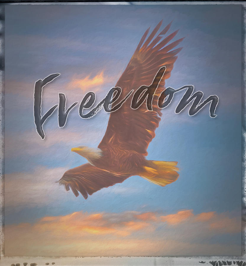 Eagle Freedom Mixed Media