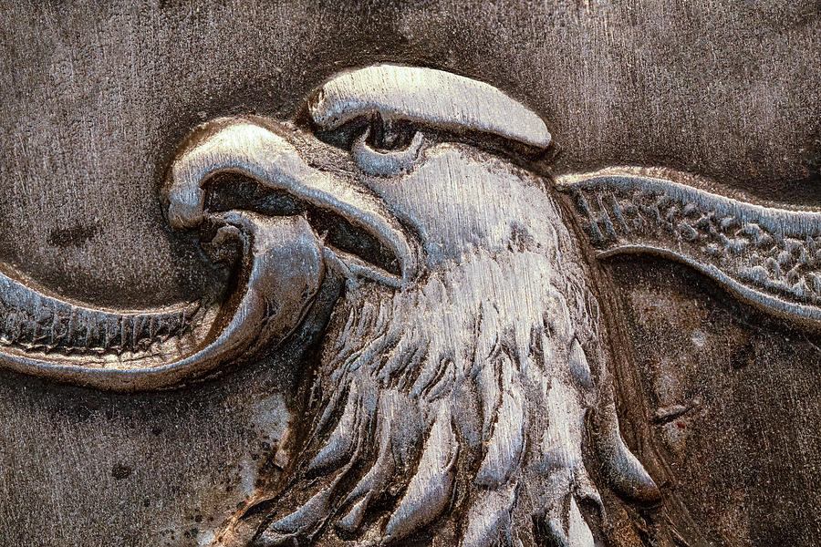 Eagle Head with Banner Photograph by Tom Mc Nemar