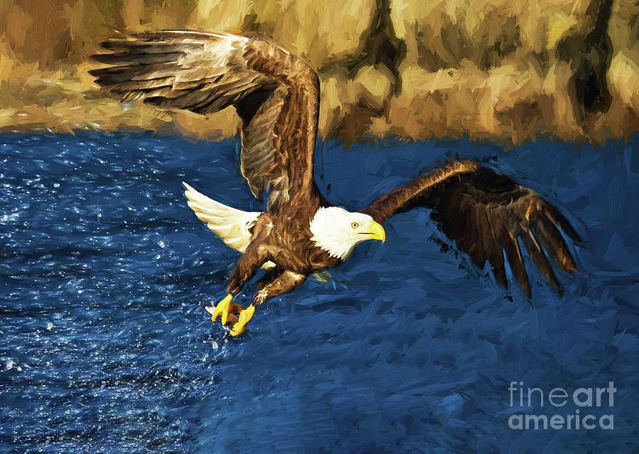 Eagle Painting - Eagle hunting fish  by Gull G