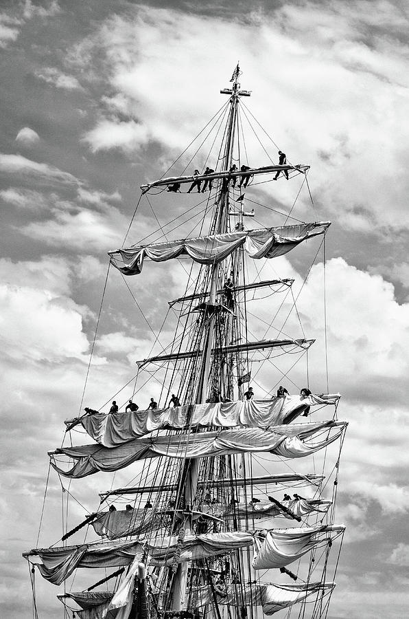 Eagle In The Sails Black and White Photograph by Marianne Campolongo