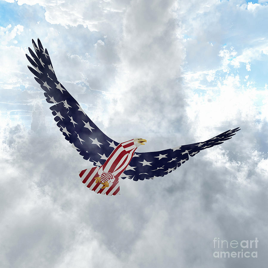 Eagle in US national colors Digital Art by Bruce Rolff