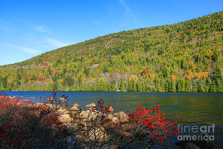 Eagle Lake Fall Photograph by Olivier Le Queinec