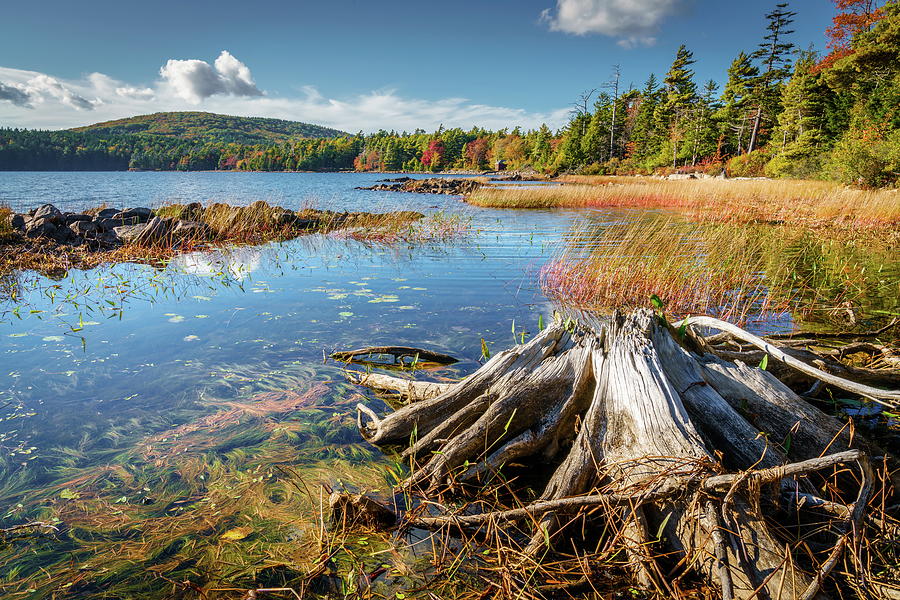 Eagle Lake in Acadia National Park Photograph by Alexey Stiop
