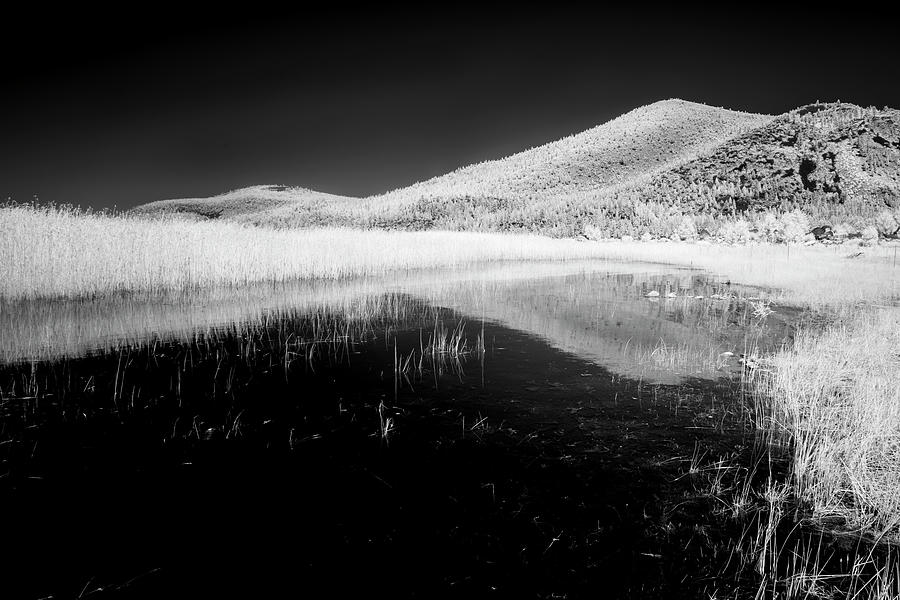 Eagle Lake Shoreline Infrared Photograph by Mike Lee